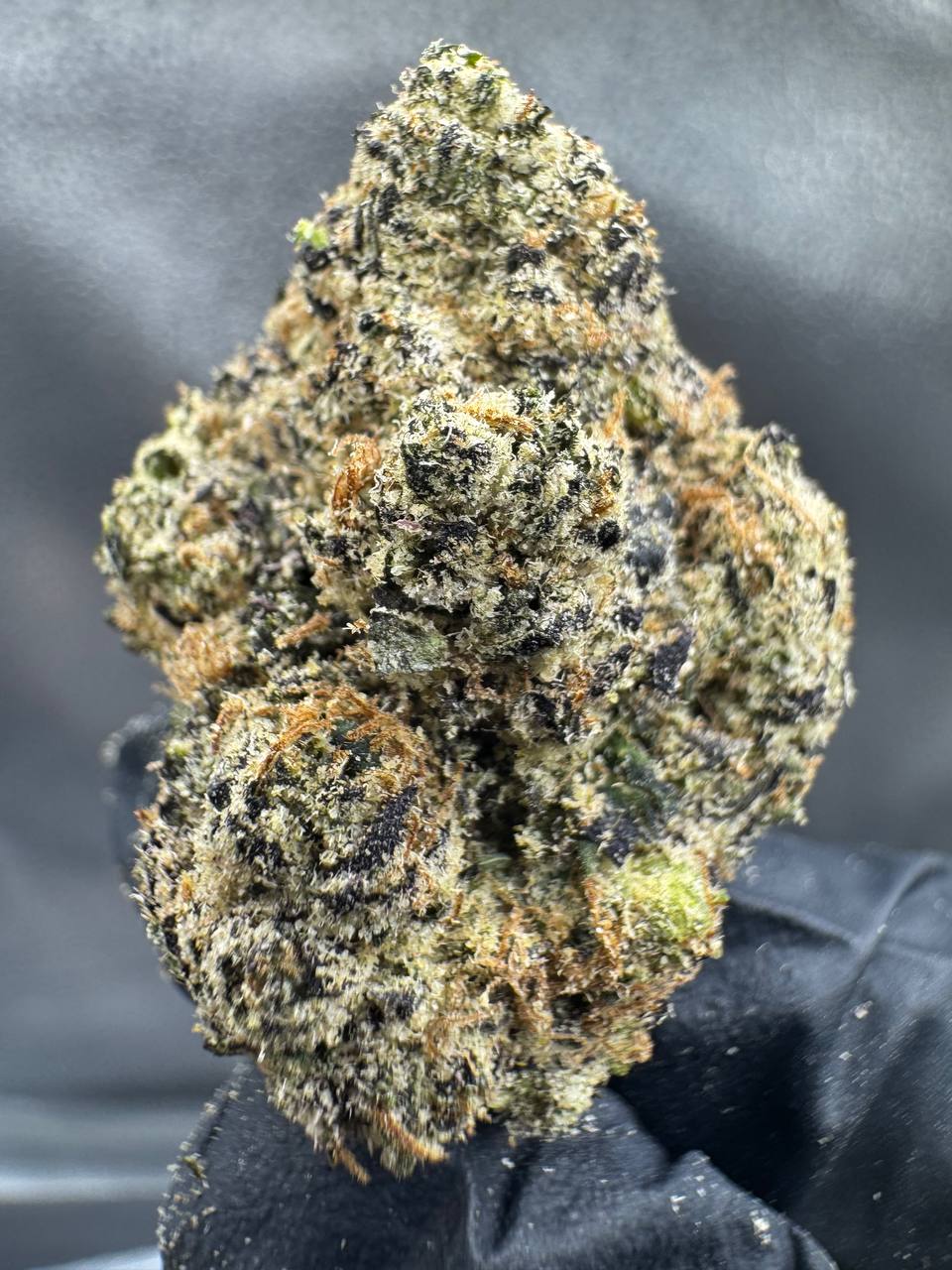 Astronaut Status - Sativa - Regular THCA Flower 1g
