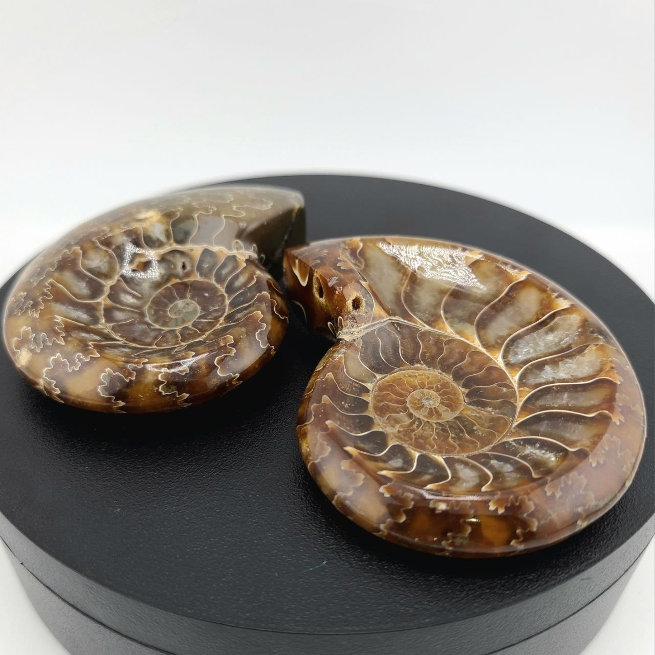 Ammolite Tray - Small