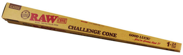 Challenge Cone 1x24 inch