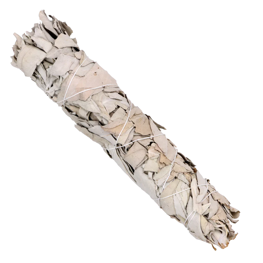 White Sage Bundle - 9"