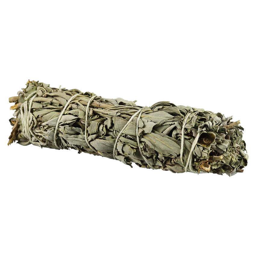 White Sage Bundle - 7"