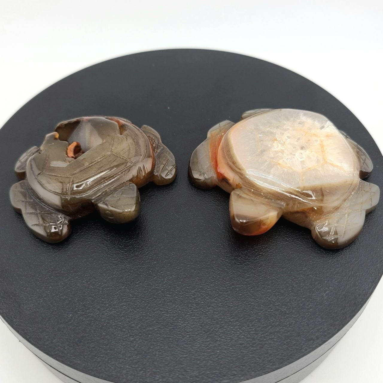 Assorted Crystal Turtles - Small