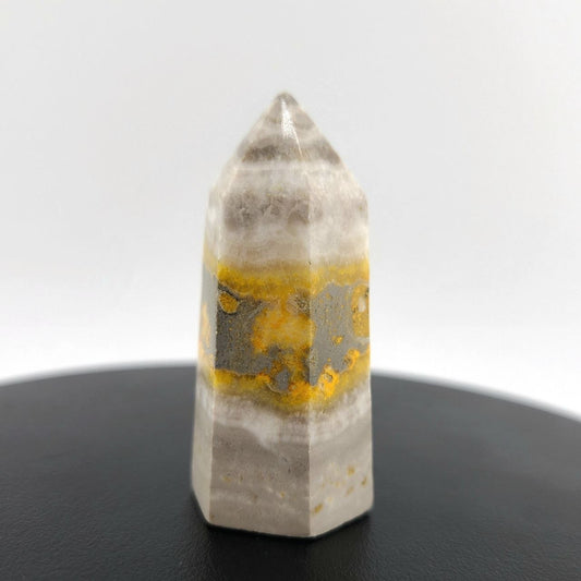 Bumble Bee Jasper Point