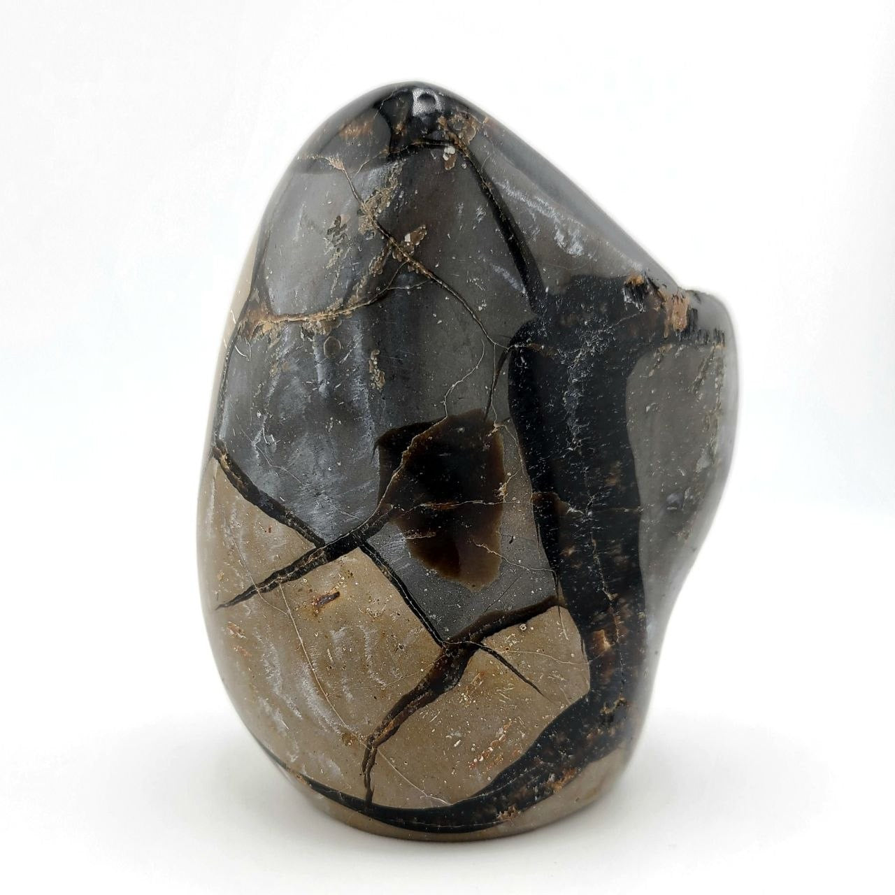 Black Septarian Geode - Medium