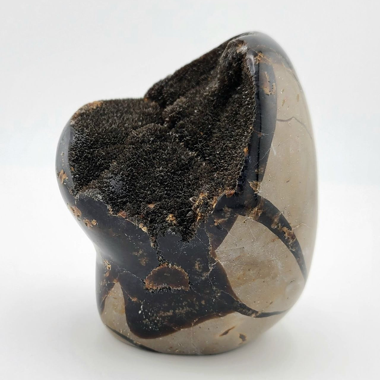 Black Septarian Geode - Medium