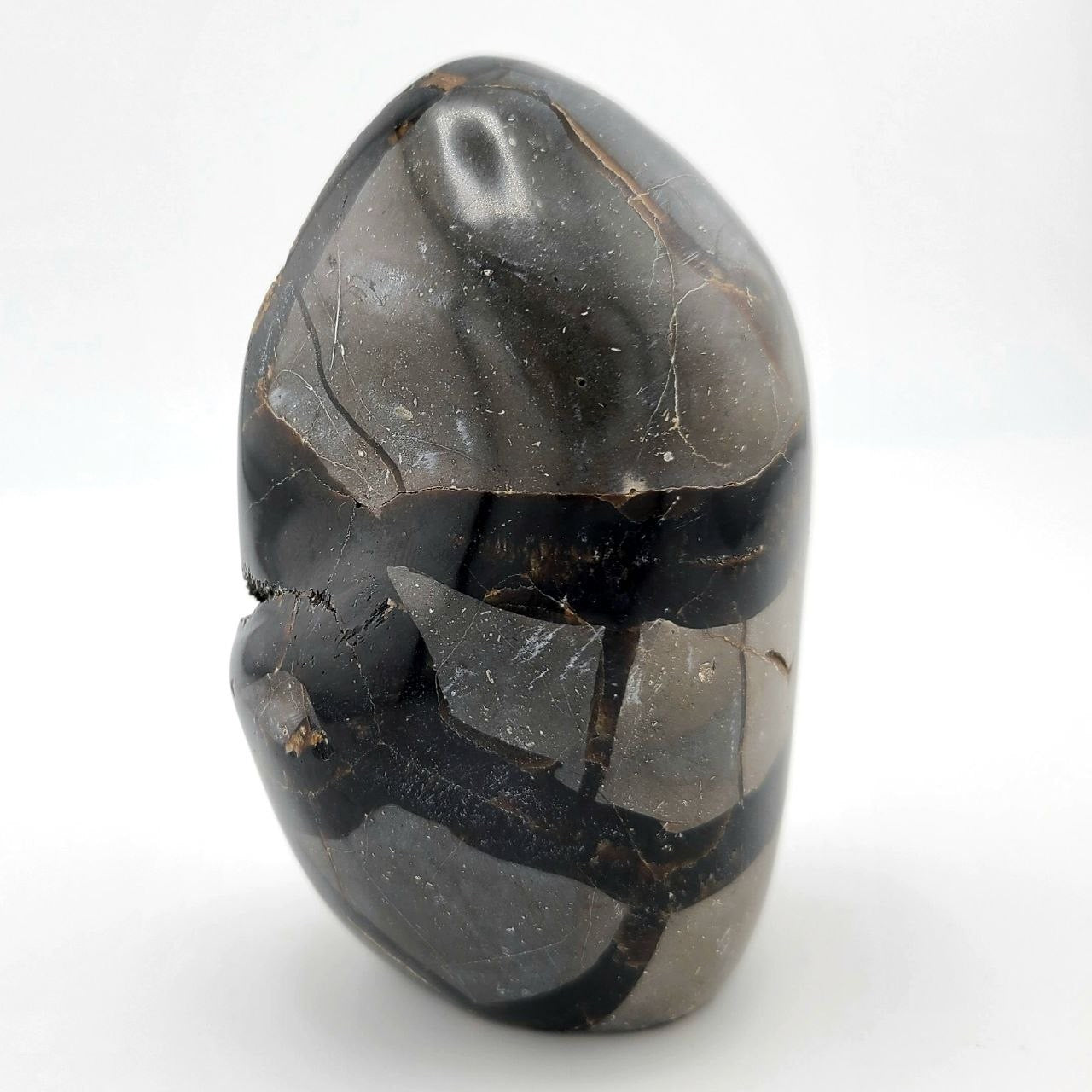 Black Septarian Geode - Small
