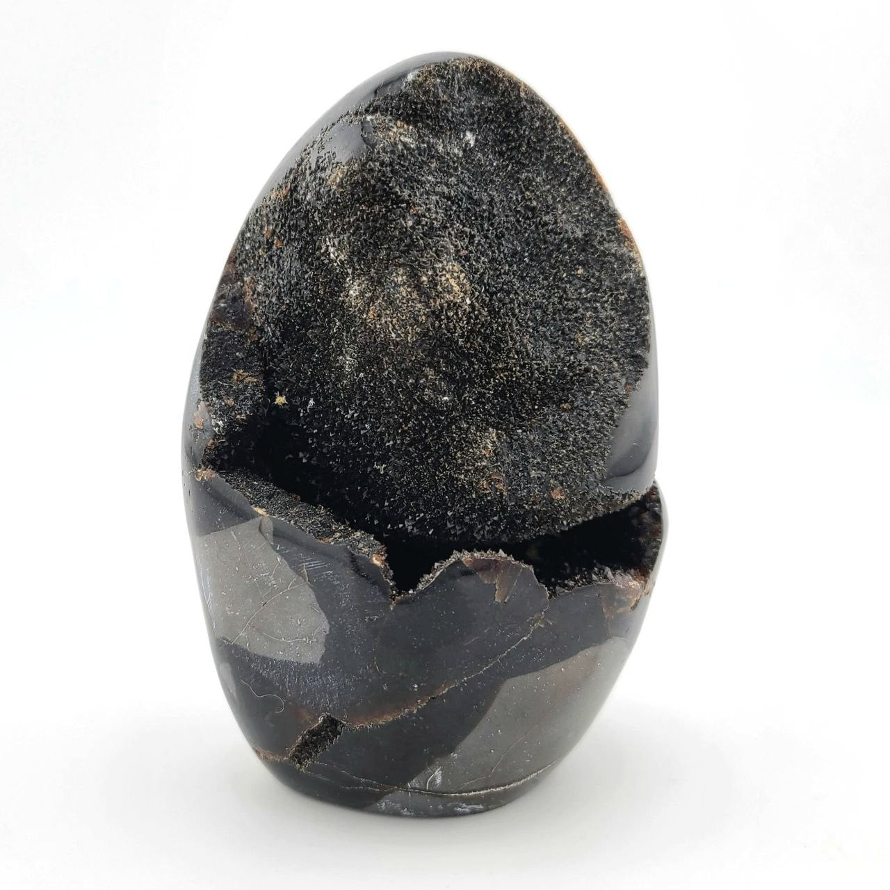 Black Septarian Geode - Small
