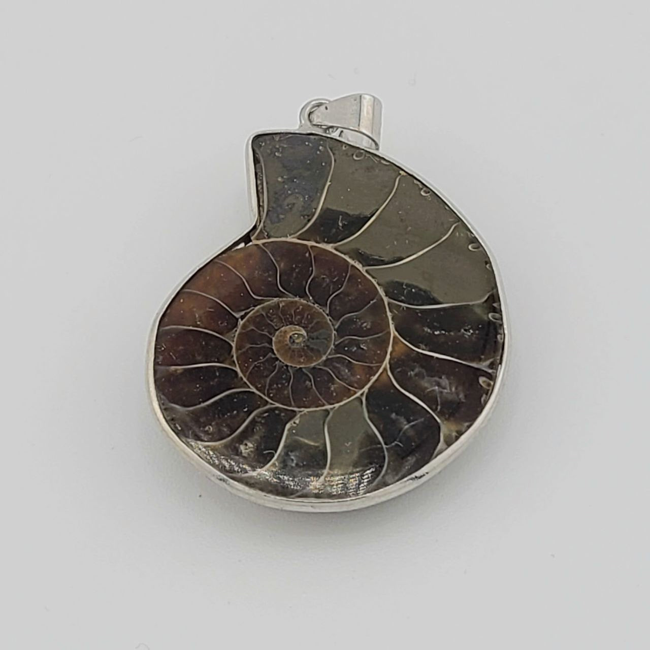 Ammolite Pendant