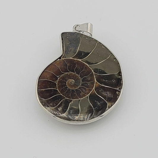 Ammolite Pendant