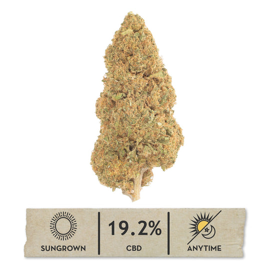 CBD Flower 3.5g - Lifter