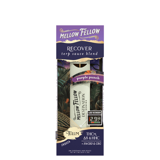 Recover - Indica - Terp Sauce Blend - 2 ml Dispoable - Purple Punch