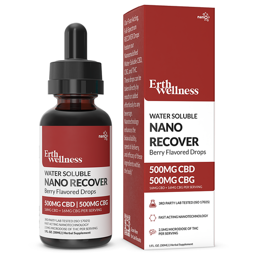 Nano Recover CBD:CBG Tincture - Berry Flavored