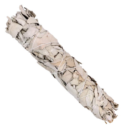 White Sage Bundle - 9"